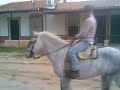 picota montando a caballo