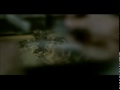 The Retrosic - Desperate Youth The Retrosic - Desperate Youth