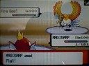Wi-Fi Battle #83 (Killer Nacho v GOD!!) [100 SUBS! MAGIKARP!]