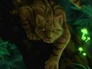 Cats of Thunderclan Cats of Thunderclan