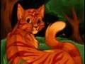 Cats of Thunderclan