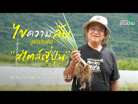 ไขความลับ การปรุงดิน 