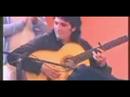 flamenco joven jerez