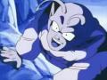 bob ball z cacauhates