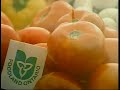 Foodland Ontario