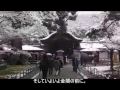 ???????(1/4)Kyoto, Kinkakuji Temple ???????(1/4)Kyoto, Kinkakuji Temple