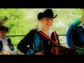musica y video