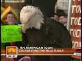 Jeff Corwin on the Bald Eagle Jeff Corwin on the Bald Eagle