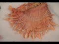 Spiny Oyster Jewelry Video