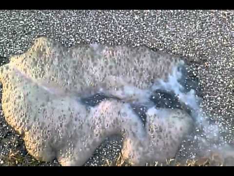 how to dissolve hg2cl2