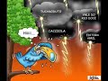 Raul solnado - Selva e os seus