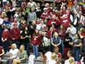 Cougar Volleyball