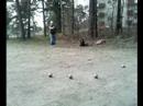 Training Day, Outdoor edition :)