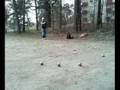 Training Day, Outdoor edition :)