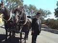 custom-carriages.html
