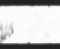 Contura_MotionPicture Contura_MotionPicture
