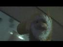 Monkey Bizness - Christopher Walken's Monkey