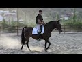 Navelina II - 05062010 - Montada