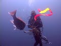 Low Country Divers Episode 1