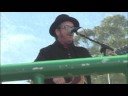 elvis costello at hardly strictly bluegrass