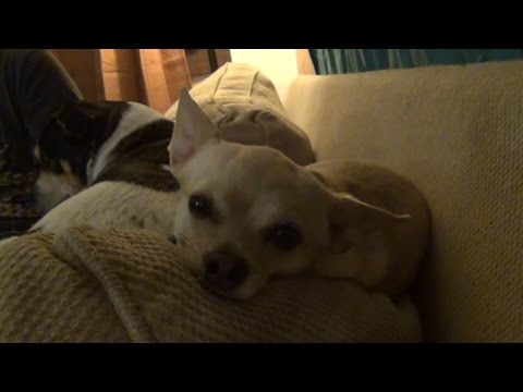 MAIL VLOG 31