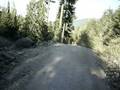 videos de Whistler Bike Park Helmet Cam - A-Line
