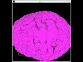 brain.ogg brain.ogg