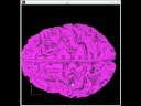 brain.ogg
