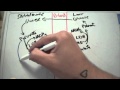Cori Cycle