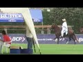 Peruvian Pace Horse 3 - La Libertad - Peru