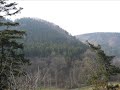 Red River Valley