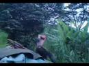 dirt jump bairro ferroviarios ipatinga