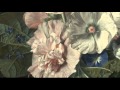 Anonymous: Greensleeves (improvised variations on archlute) / Il Giardino Armonico