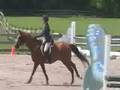 jumper show 7.25.08