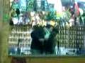 videos de Salto alfio