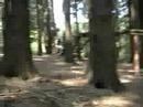 Dirtjumpers.de - It\ Dirtjumpers.de - It\