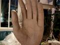 videos de A five foot tall hand, to fit a tall woman