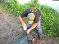 berna e tombo-una cattura in canale....carpfishing berna e tombo-una cattura in canale....carpfishing