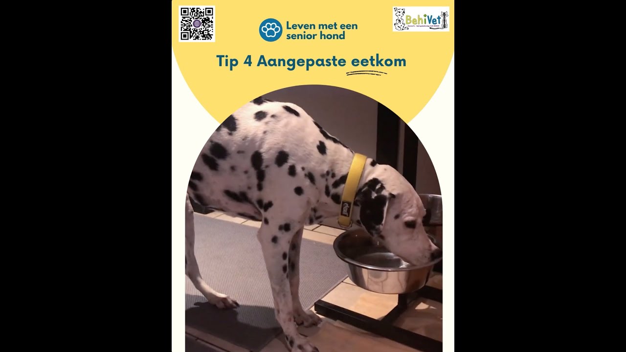TIP 4 – Een aangepaste eetkom voor meer comfort