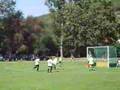 Knaben C - FHTC - HC Niesky in Pillnitz