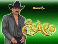 El Chapo De Sinaloa -  Te Doy 8 Dias (Audio)