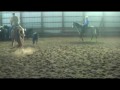 Gothard Team Penning 1 2009