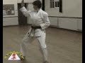 Pinan Shodan Kata Pinan Shodan Kata
