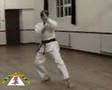 Pinan Shodan Kata