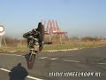 wheely boy