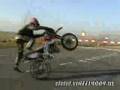wheely-boy