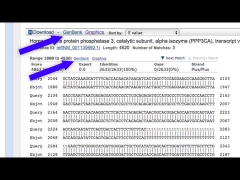 Imagen de previsualización de YouTube