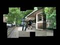 Freud's Bus Stop