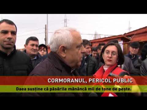 Lupta ministrului Agriculturii cu cormoranii