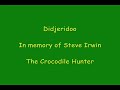 steve irwin was my greatest inspiration and he was also my hero so when i took my didjeridoo to the shore i was inspired to play in steve's memory and for his dream of wildlife conservation.  i love the oceans and i know steve did also--and sadly, it is where he spent his final hours.  this healing wave of didj and ocean sights and sounds is dedicated to a great man with a great vision who truly changed the world for the better--steve irwin, we miss you and will not let your dream fade.
 
steve and terri irwin created wildlife warriors worldwide to raise money for wildlife rehabilitation and conservation.  if you love wildlife and can find it in your heart to donate even a small amount to wildlife conservation please contact wildlife warriors and make a donation for wildlife as i have done.  wildlife and wild places need our help now more than ever if nature is going to survive the onslaught of man's machine.

for more information on how you can help wildlife check out:
http://www.wildlifewarriors.org

check out my wildlife conservation project with box turtles here:
http://www.geocities.com/thesolorover/boxtrack

to watch this video in hd on most computers just type this code 